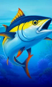 Big Boat Big Catch